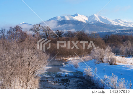 北海道富良野岳と霧氷した木々 雪景色が美しい冬の絶景観光素材 北海道富良野岳と霧氷した木々 雪景色が美しい冬の絶景観光素材 141297039