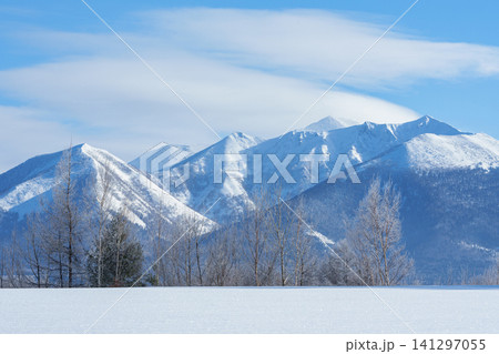 北海道富良野の霧氷した木々と富良野岳と雪原 冬の絶景観光素材 141297055