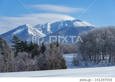 北海道富良野の霧氷した木々と富良野岳と雪原 冬の絶景観光素材 北海道富良野の霧氷した木々と富良野岳と雪原 冬の絶景観光素材 141297058
