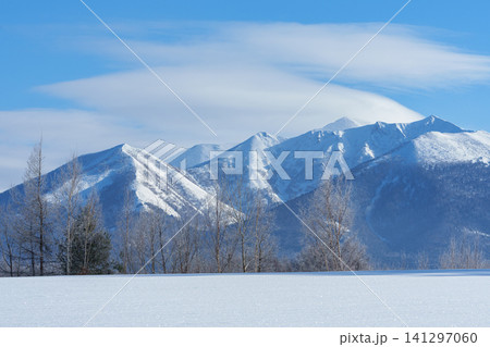 北海道富良野の霧氷した木々と富良野岳と雪原 冬の絶景観光素材 北海道富良野の霧氷した木々と富良野岳と雪原 冬の絶景観光素材 141297060