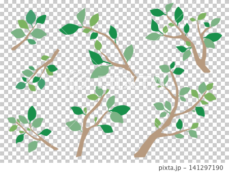 シンプルな枝と葉っぱのイラストセット シンプルな枝と葉っぱのイラストセット 141297190