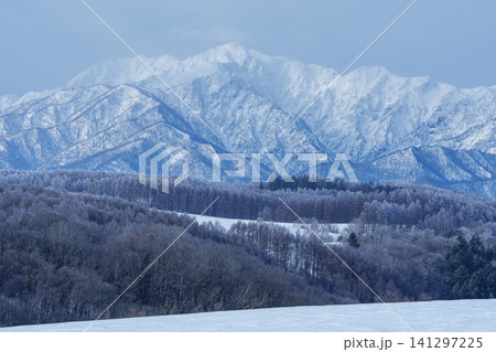 北海道富良野の霧氷した木々と芦別岳 冬の絶景観光素材 北海道富良野の霧氷した木々と芦別岳 冬の絶景観光素材 141297225