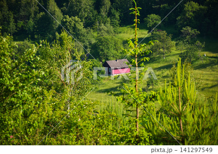 Peaceful Cabin in the Forest 141297549