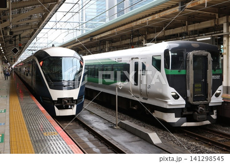 東京駅のホームに並んで停車する特急「サフィール踊り子」と特急「草津・四万」の車両 東京駅のホームに並んで停車する特急「サフィール踊り子」と特急「草津・四万」の車両 141298545