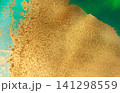 Abstract Original Hand Drawn Green Artwork Liquid Inks Illustration with Gold Glitter Text Space. 141298559