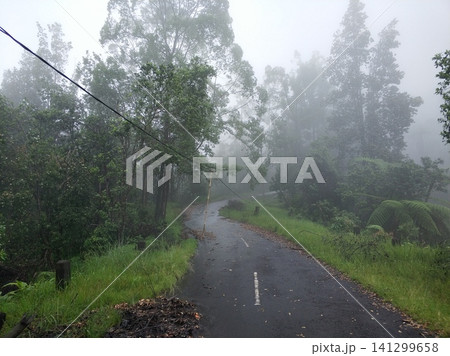 A road in the mountains in the fog after a storm. Around and on the way are broken trees and branches after a volcanic eruption. A road in the mountains in the fog after a storm. Around and on the way are broken trees and branches after a volcanic eruption. 141299658