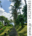 A majestic tropical garden with a lawn, palm trees and a swimming pool.The territory of a luxury hotel in Asia. 141299683