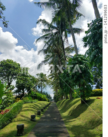 A majestic tropical garden with a lawn, palm trees and a swimming pool.The territory of a luxury hotel in Asia. A majestic tropical garden with a lawn, palm trees and a swimming pool.The territory of a luxury hotel in Asia. 141299683