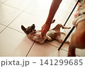 A man is playing with a stray puppy, and the dog bites his hand. 141299685