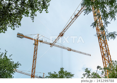 Yellow construction cranes against sky framed by green trees Yellow construction cranes against sky framed by green trees 141299788