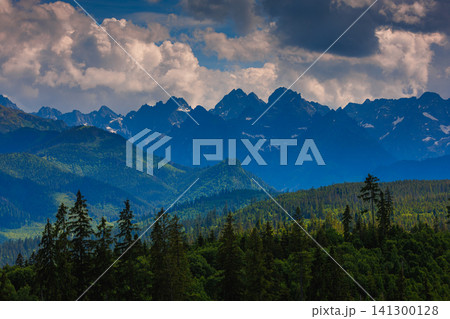 Sunlit green mountain valley with meadow, forested slopes in Zakopane Tatras mountains 141300128