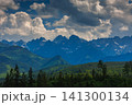 Sunlit green mountain valley with meadow, forested slopes in Zakopane Tatras mountains 141300134