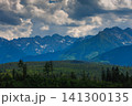 Sunlit green mountain valley with meadow, forested slopes in Zakopane Tatras mountains 141300135