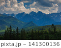 Sunlit green mountain valley with meadow, forested slopes in Zakopane Tatras mountains 141300136