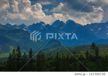 Sunlit green mountain valley with meadow, forested slopes in Zakopane Tatras mountains 141300136