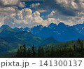 Sunlit green mountain valley with meadow, forested slopes in Zakopane Tatras mountains 141300137