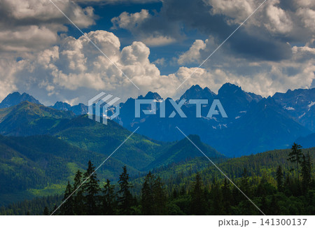 Sunlit green mountain valley with meadow, forested slopes in Zakopane Tatras mountains Sunlit green mountain valley with meadow, forested slopes in Zakopane Tatras mountains 141300137