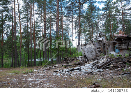 Abandoned ruin sits among tall pine trees Abandoned ruin sits among tall pine trees 141300788