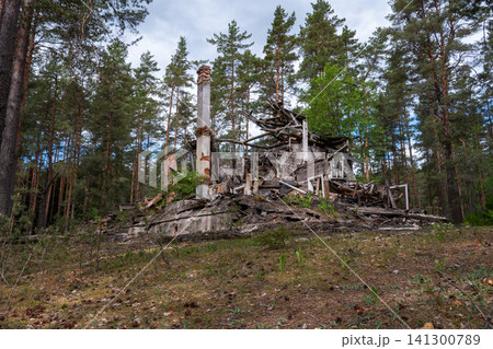 Abandoned structure stands in dense pine forest Abandoned structure stands in dense pine forest 141300789