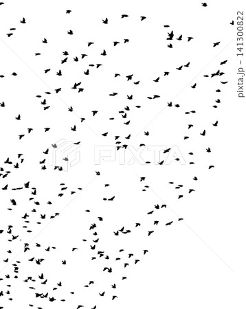 Flying birds silhouette flock. hand drawing. Not AI. Vector illustration Flying birds silhouette flock. hand drawing. Not AI. Vector illustration 141300822