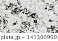 intricate black and white floral lace texture with raised frayed loops for fashion textile web background 141300960