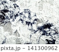 frayed white mesh fabric texture with dark organic decay for grunge background and web design layout 141300962