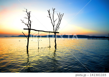 Swing on sea beach on sunset. Swing hangs on tree branch at tropical resort of Starfish Beach Swing on sea beach on sunset. Swing hangs on tree branch at tropical resort of Starfish Beach 141301103