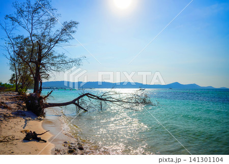 Picturesque landscape on Phu Quoc Island in Vietnam. Tropical Rach Vem Starfish Beach 141301104