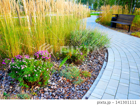 Pine bark for mulching soil on lawn in landscape design. Shrubs planting in city stret. Pine bark for mulching soil on lawn in landscape design. Shrubs planting in city stret. 141301111