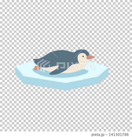 An illustration of a penguin lying on the ice; a baby penguin, simple and cute. 141301786