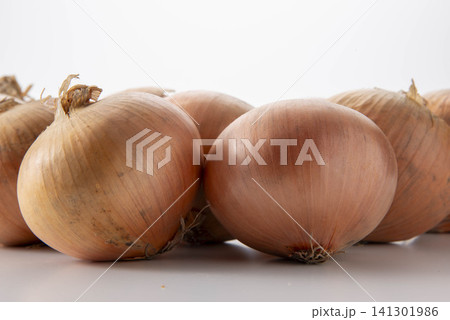 白背景に並んだ玉ねぎ、茶色い皮と根が見える野菜の食材 141301986