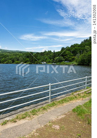 夏のバラキ湖 群馬県嬬恋村 夏のバラキ湖 群馬県嬬恋村 141302008