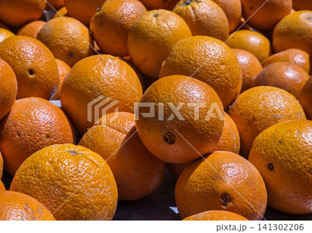 Fresh oranges are stacked high at a fruit market stand in Spain. The oranges have vibrant peels and are ready for customers looking to buy them. Fresh oranges are stacked high at a fruit market stand in Spain. The oranges have vibrant peels and are ready for customers looking to buy them. 141302206