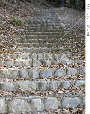 五月山登山道の石段 五月山登山道の石段 141302455
