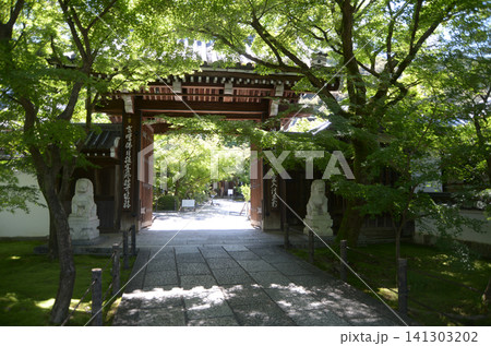 永観堂禅林寺 中門 京都市左京区永観堂町 永観堂禅林寺 中門 京都市左京区永観堂町 141303202