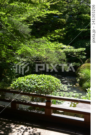 永観堂禅林寺 方丈北庭 京都市左京区永観堂町 永観堂禅林寺 方丈北庭 京都市左京区永観堂町 141303206