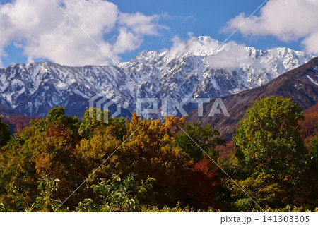 秋の白馬村から雪を纏った白馬の峰々を望む 秋の白馬村から雪を纏った白馬の峰々を望む 141303305