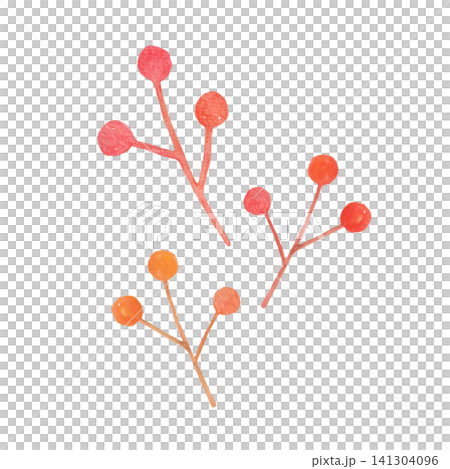 一根結滿紅色漿果的枝條(水彩插圖) 一根結滿紅色漿果的枝條(水彩插圖) 141304096