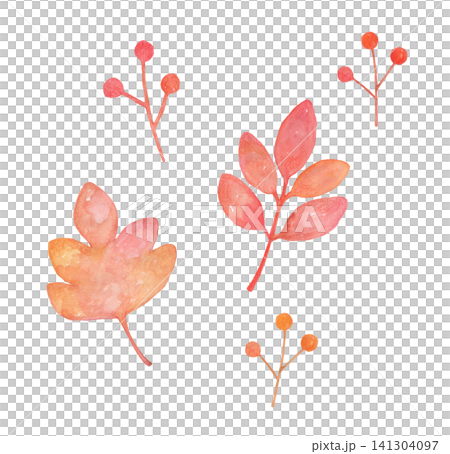 長著紅色漿果的葉子 - 水彩插圖 長著紅色漿果的葉子 - 水彩插圖 141304097