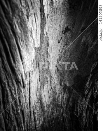 Dramatic black and white abstract texture of weathered wood trunk with strong light and shadow. 141305898