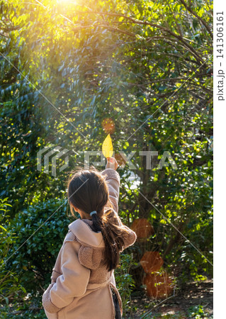 A back view of a young child holding up a yellow autumn leaf to the sun. 141306161