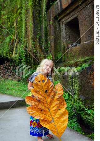 Young child with giant tropical leaf while exploring jungle in Bali, Indonesia. The vivid green backdrop, ancient stones create a playful and mysterious moment of nature at family travel adventure. Young child with giant tropical leaf while exploring jungle in Bali, Indonesia. The vivid green backdrop, ancient stones create a playful and mysterious moment of nature at family travel adventure. 141306878