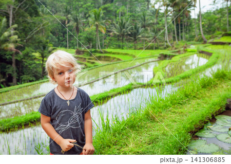 Blond boy stands near flooded green rice terraces in Bali, surrounded by tropical nature. A candid moment of cultural family travel and childhood exploration in Indonesia. 141306885