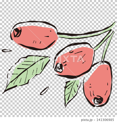 Rose hip Rose hip 141306985