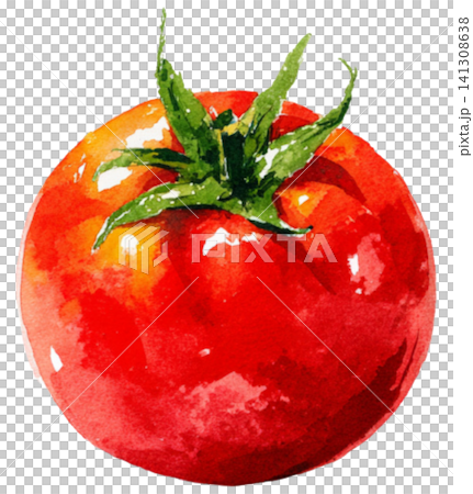 tomato tomato 141308638