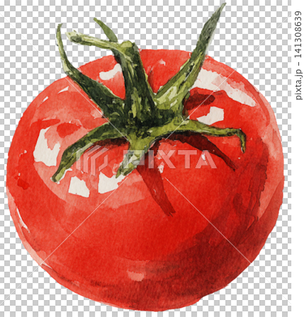 tomato tomato 141308639