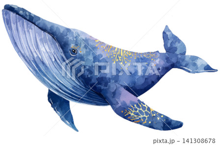 whale whale 141308678