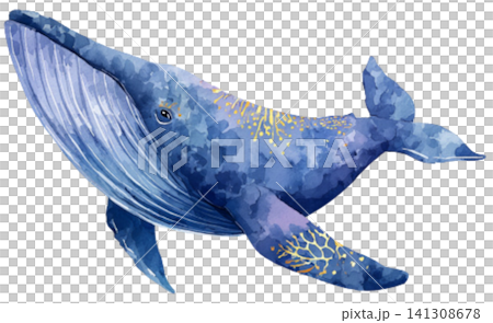 whale whale 141308678