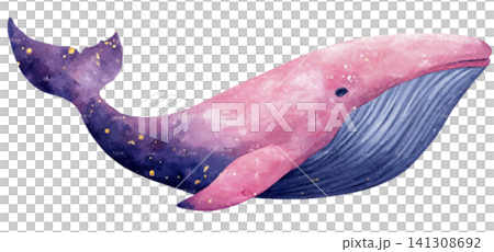 whale whale 141308692