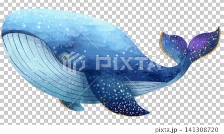 whale whale 141308720